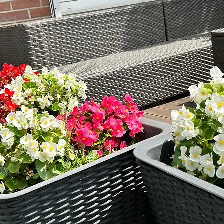 Reitsportzentrum Lichtenholz * Хамминкельн