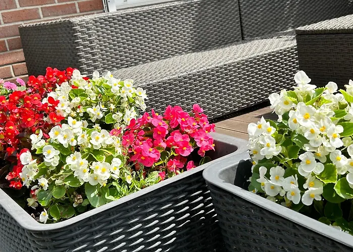 Reitsportzentrum Lichtenholz * Hamminkeln