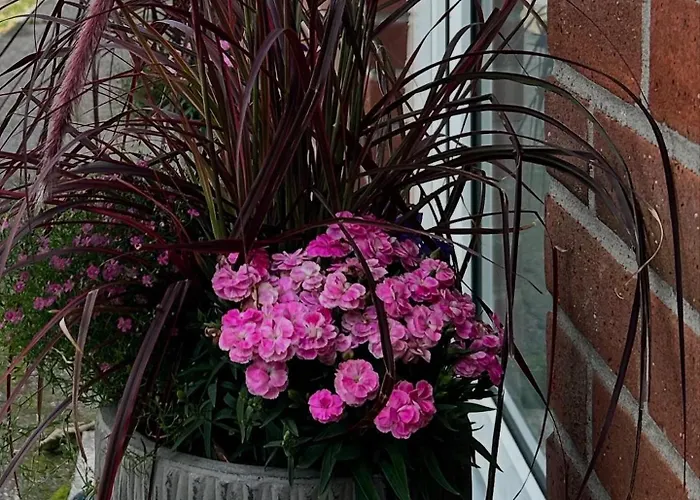 Διαμέρισμα Reitsportzentrum Lichtenholz